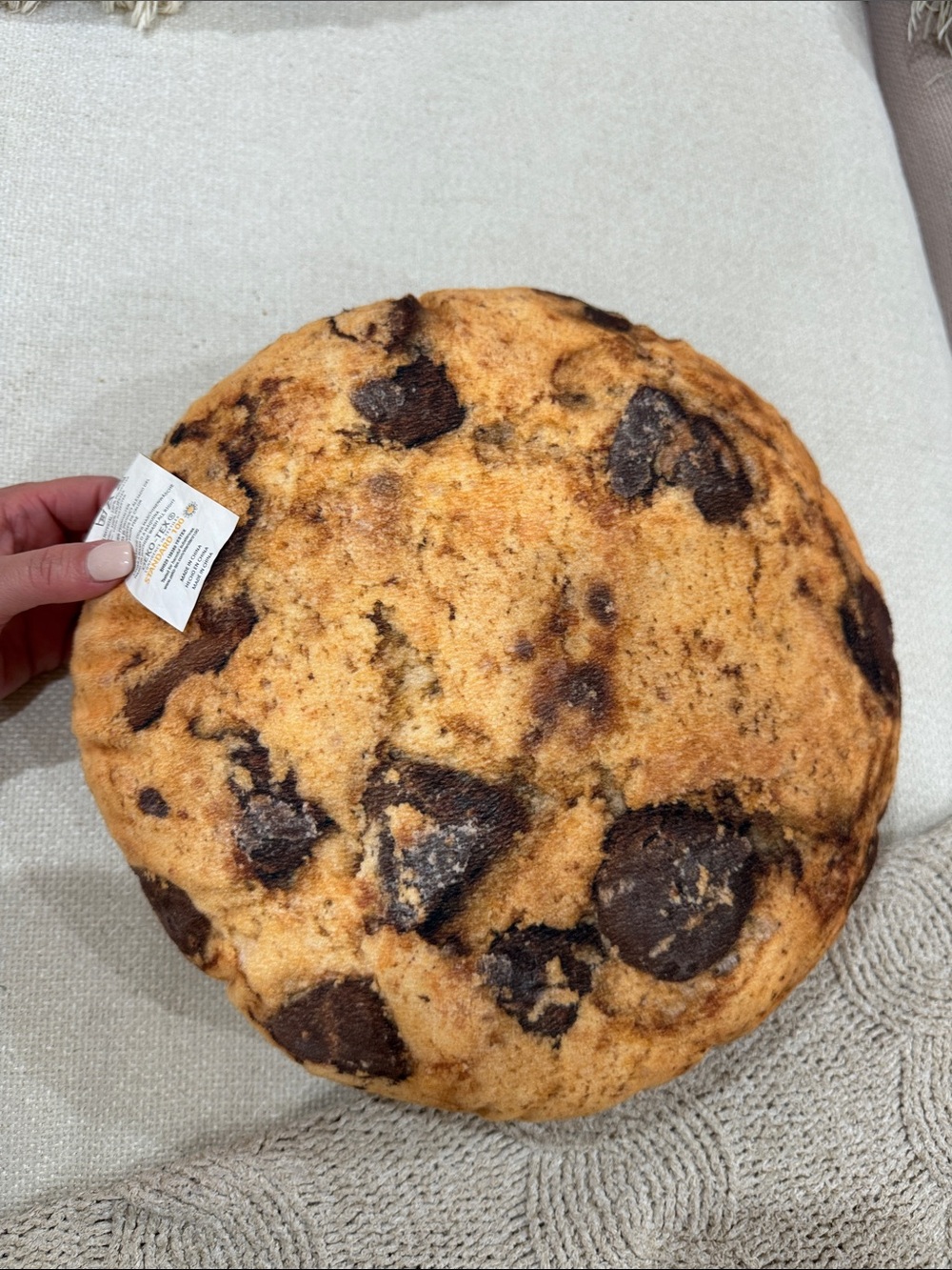 Chocolate Chip Cookie Plush Throw Pillow - Picture 2 of 3
